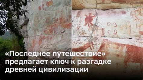 Раскрытые тайны в полях и лесах