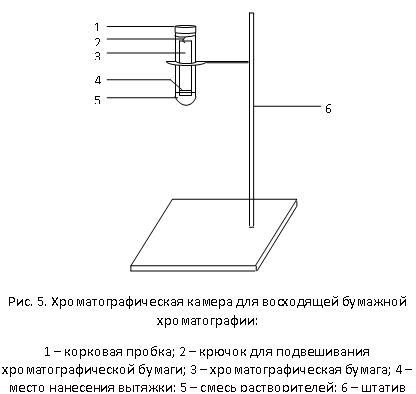 Распределение пигментов