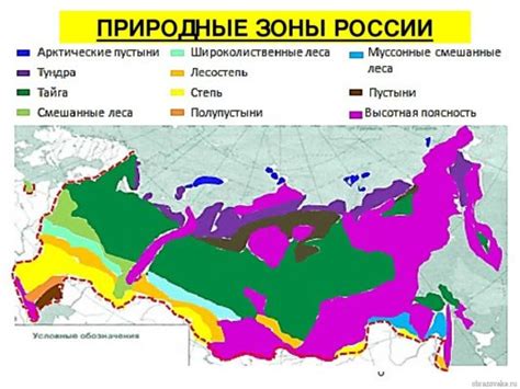 Распространение по всей России