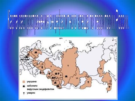 Распространение энцефалитного клеща в России