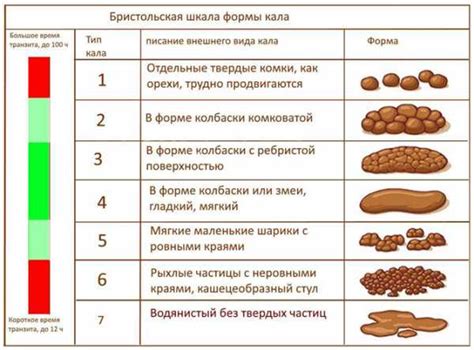 Распространенные симптомы и последствия жидкого стула