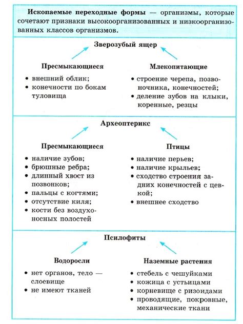 Рассмотрение процесса эволюции