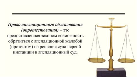 Рассмотрите возможность оспорить обвинение в апелляционном порядке