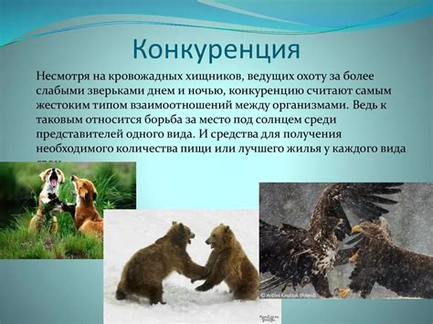 Растительные алилопатии - конкуренция и взаимоотношения