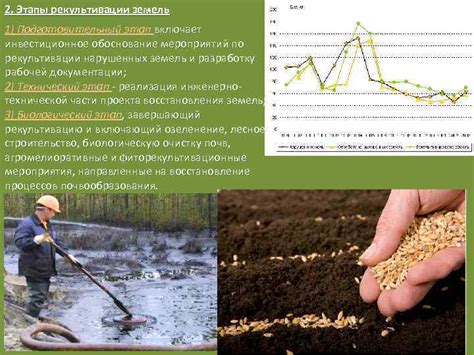 Растительный и животный компоненты рекультивации