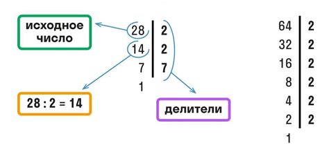 Расшифровка термина СБН