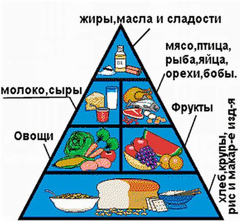 Рациональное питание на протяжении дня