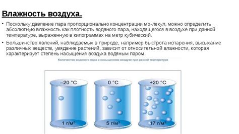 Рацион богомолов при высокой влажности