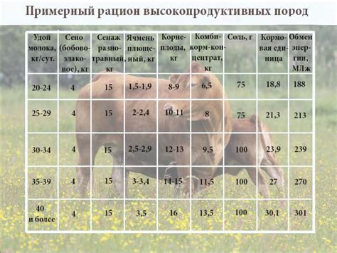 Рацион кормления косули