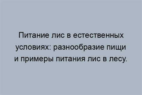 Рацион питания лис в лесу