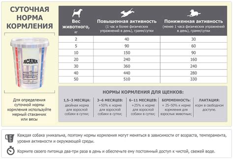 Рацион сухого корма для щенка