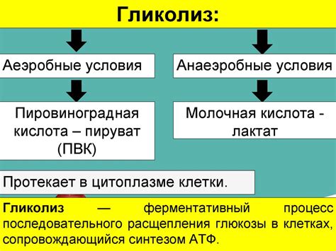 Реактивы и продукты