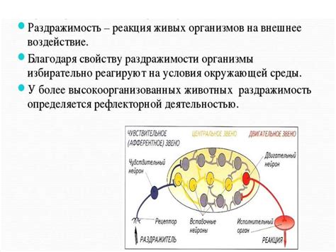 Реакция кожи на раздражители