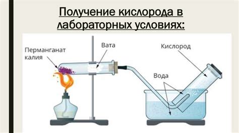 Реакция на физические свойства растений