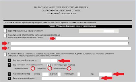 Регистрационный номер в налоговой отчетности