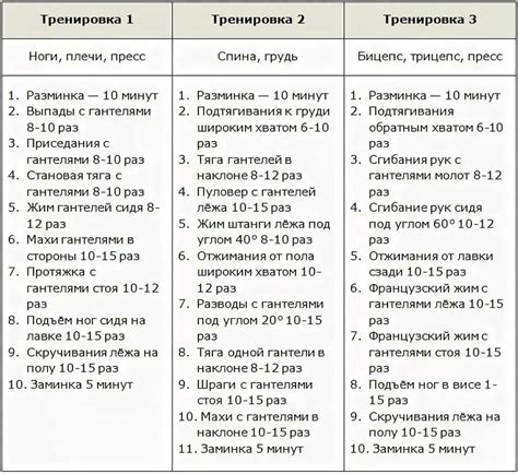 Регулярность тренировок и их расписание для развития скулов