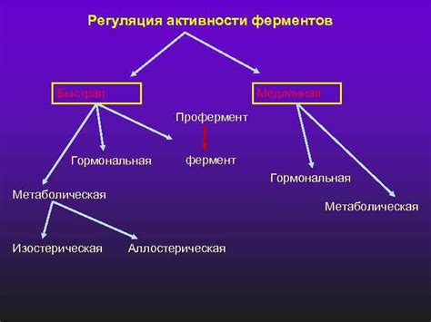 Регуляция активности специальных органоидов