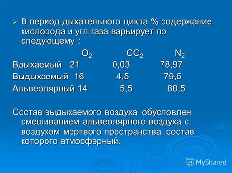 Регуляция кислорода и углекислого газа: работа дыхательного центра