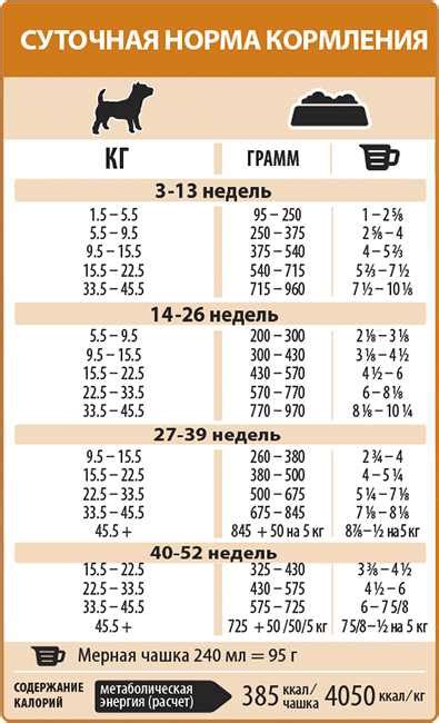 Режим кормления щенка в 1 месяц