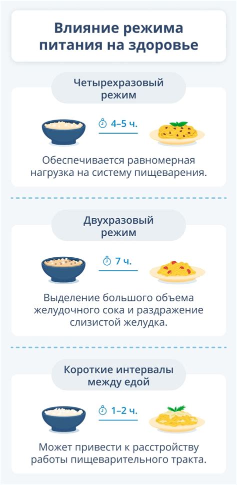 Режим питания: влияние правильного питания на снижение жировых запасов