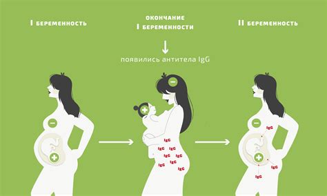 Резус конфликт матери и ребенка: причины и последствия