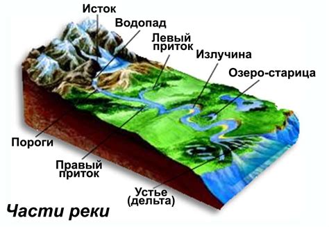 Река: определение, характеристики и примеры