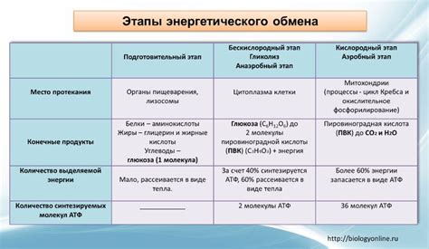 Рекомендации для оптимального подготовительного этапа энергетического обмена