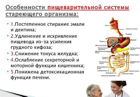 Рекомендации по запиванию препаратов железа с водой или молоком