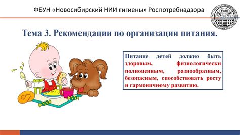 Рекомендации по организации питания для максимальной пользы от регулярного вечернего бега