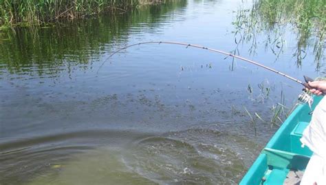 Рекомендации при сновидениях о ходьбе по мутной воде