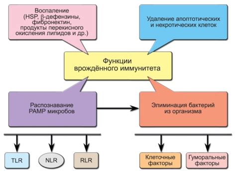 Рецепторы, связанные с обнаружением патогенов