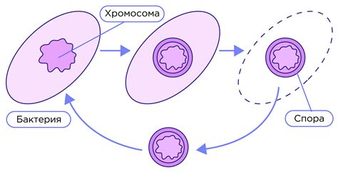 Решаемые споры