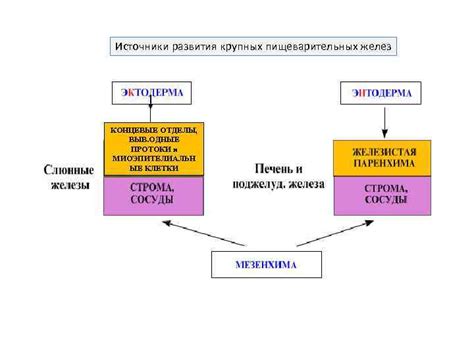 Риск развития пищеварительных проблем