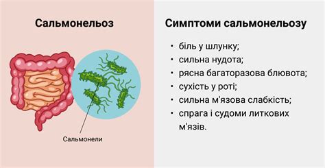 Риск развития сальмонеллеза