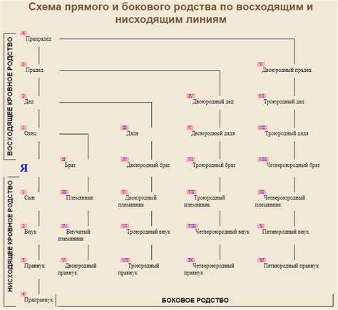 Родство - определение, основные понятия