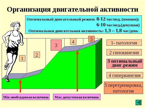 Роли двигательной активности в поддержании здоровья