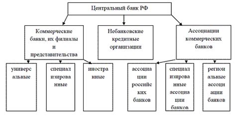 Роль Центрального банка в экономике и отличия от коммерческих банков