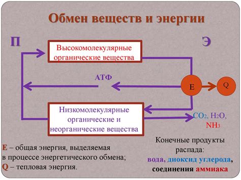 Роль активационной энергии в процессе реакции