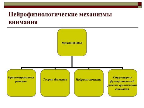 Роль внимания в возникновении ошибок восприятия