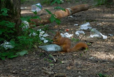 Роль воды в поддержании экологического баланса