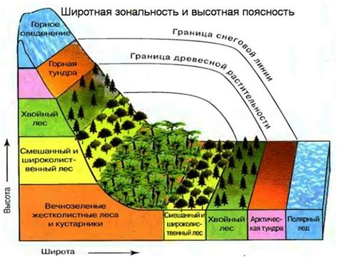 Роль географической оболочки в формировании ландшафтов и экосистем