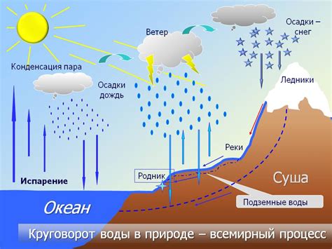 Роль гидрологического цикла в экосистеме и климатических процессах