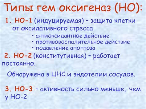 Роль глутатиона в защите от оксидативного стресса