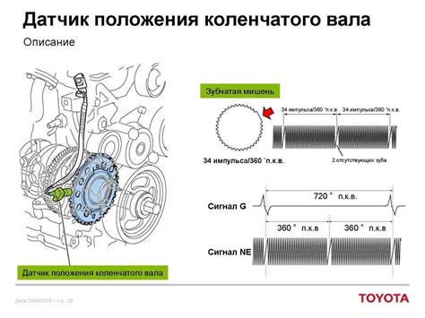 Роль датчика коленвала в работе дизельного двигателя