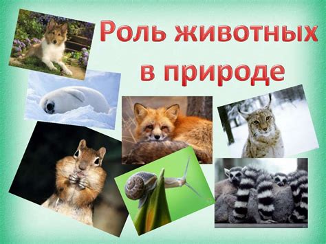 Роль животных в рационе медведя