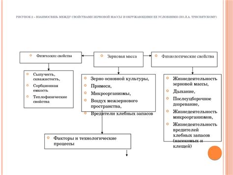 Роль зерновой массы