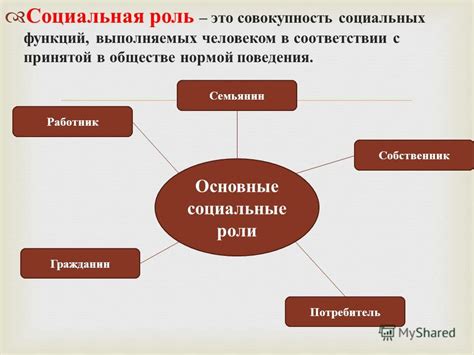 Роль индивида в открытой социальной системе