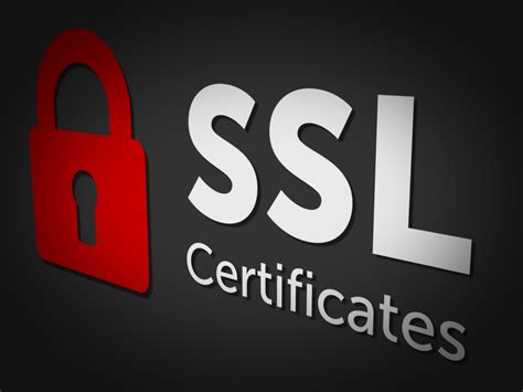 Роль и важность SSL-сертификата