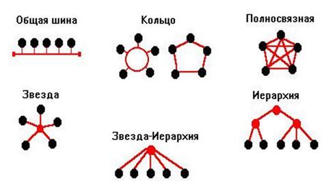 Роль и примеры логической топологии