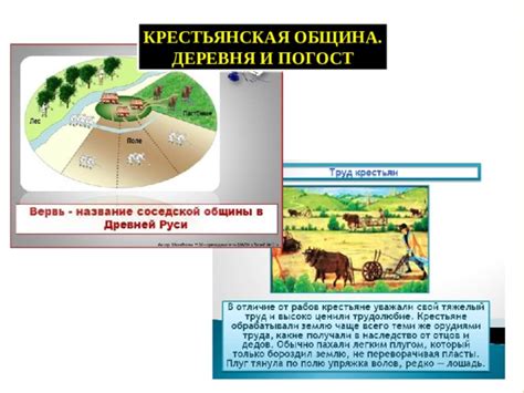 Роль и функции крестьянской общины